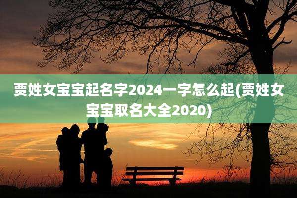 贾姓女宝宝起名字2024一字怎么起(贾姓女宝宝取名大全2020)