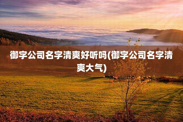 御字公司名字清爽好听吗(御字公司名字清爽大气)