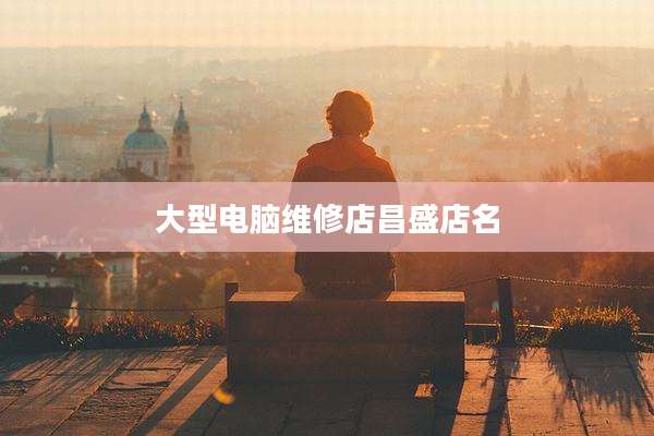 大型电脑维修店昌盛店名