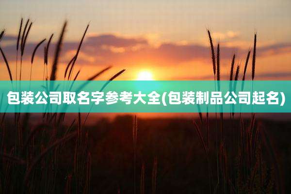 包装公司取名字参考大全(包装制品公司起名)