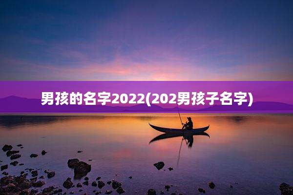 男孩的名字2022(202男孩子名字)