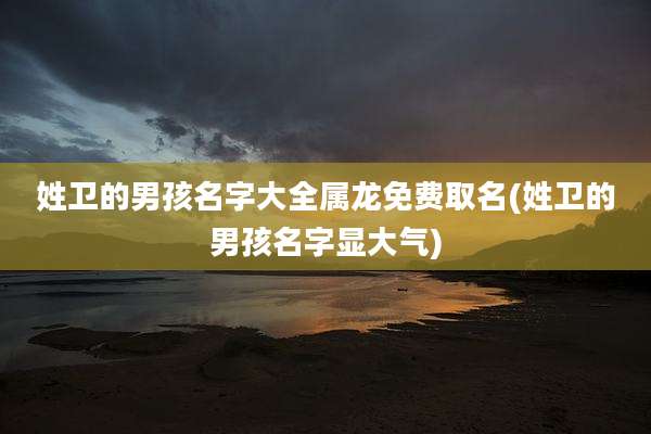 姓卫的男孩名字大全属龙免费取名(姓卫的男孩名字显大气)