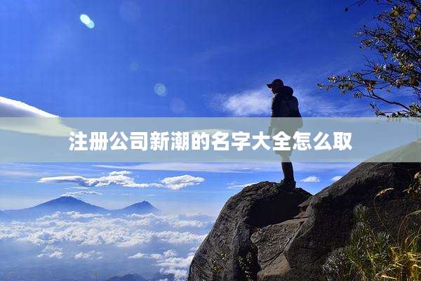 注册公司新潮的名字大全怎么取