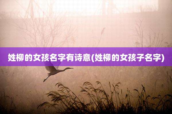 姓柳的女孩名字有诗意(姓柳的女孩子名字)
