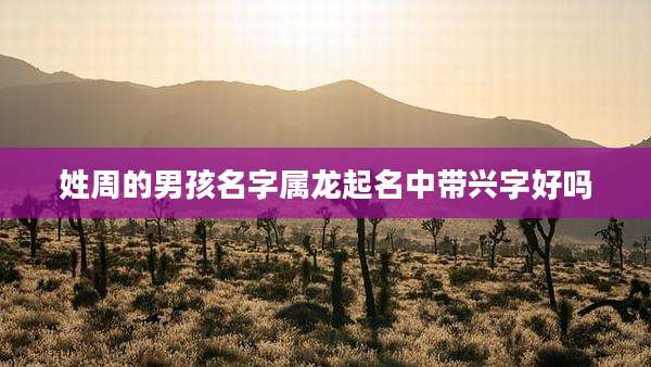 姓周的男孩名字属龙起名中带兴字好吗