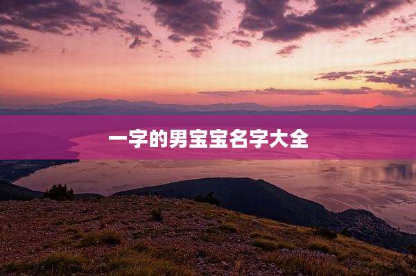 一字的男宝宝名字大全