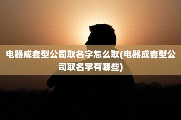电器成套型公司取名字怎么取(电器成套型公司取名字有哪些)