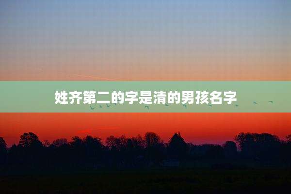姓齐第二的字是清的男孩名字