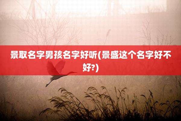 景取名字男孩名字好听(景盛这个名字好不好?)