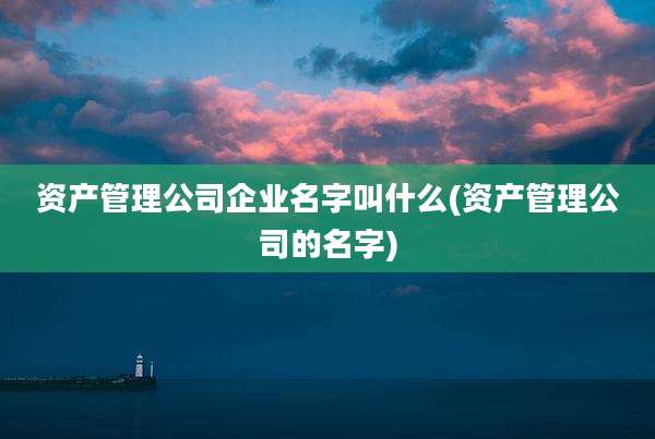 资产管理公司企业名字叫什么(资产管理公司的名字)