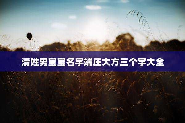 清姓男宝宝名字端庄大方三个字大全