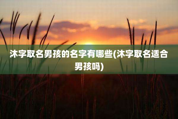 沐字取名男孩的名字有哪些(沐字取名适合男孩吗)