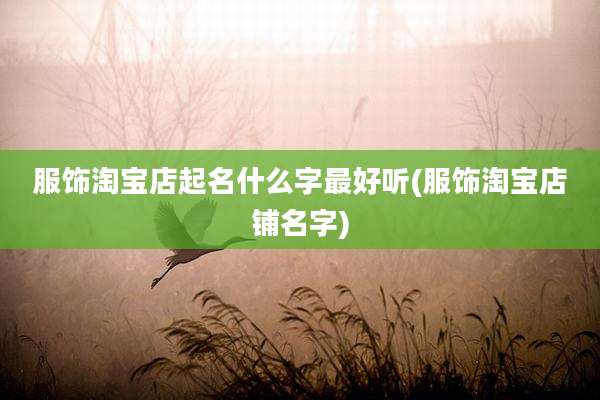 服饰淘宝店起名什么字最好听(服饰淘宝店铺名字)