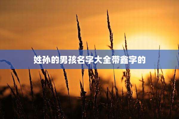姓孙的男孩名字大全带鑫字的