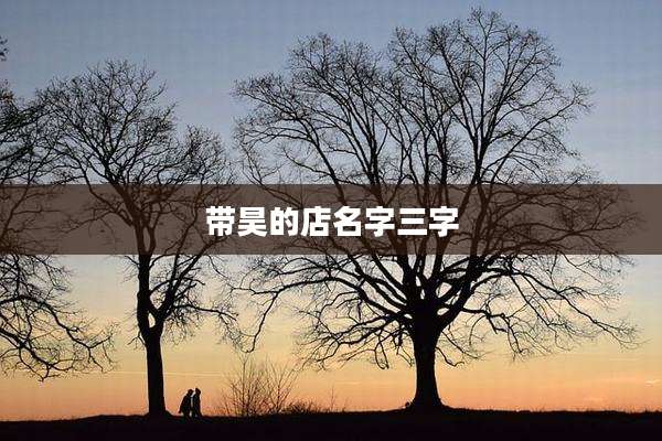 带昊的店名字三字