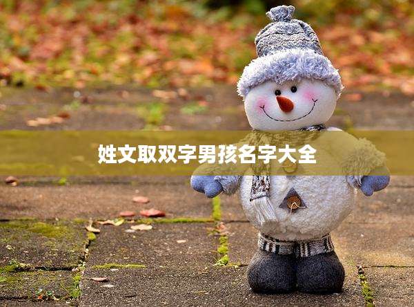 姓文取双字男孩名字大全