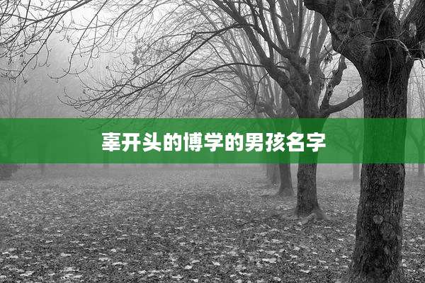 辜开头的博学的男孩名字