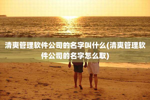 清爽管理软件公司的名字叫什么(清爽管理软件公司的名字怎么取)
