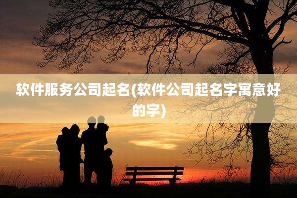 软件服务公司起名(软件公司起名字寓意好的字)