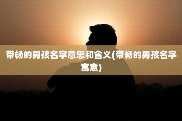 带畅的男孩名字意思和含义(带畅的男孩名字寓意)
