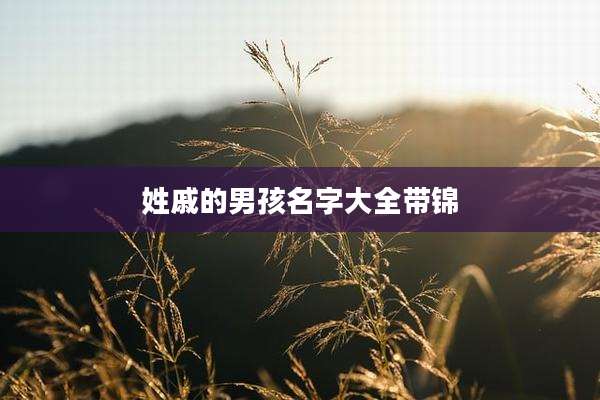 姓戚的男孩名字大全带锦