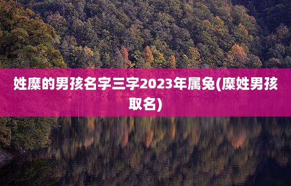 姓糜的男孩名字三字2023年属兔(糜姓男孩取名)