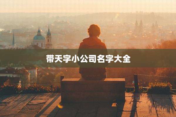 带天字小公司名字大全