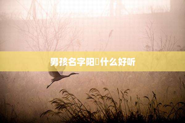 男孩名字阳晞什么好听