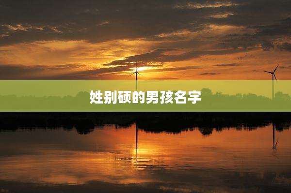 姓别硕的男孩名字