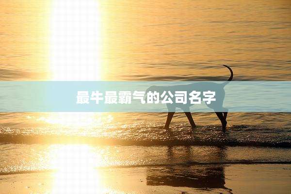 最牛最霸气的公司名字