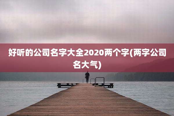 好听的公司名字大全2020两个字(两字公司名大气)