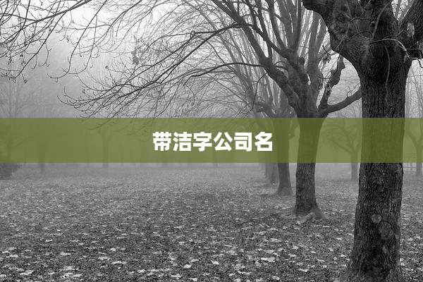 带洁字公司名