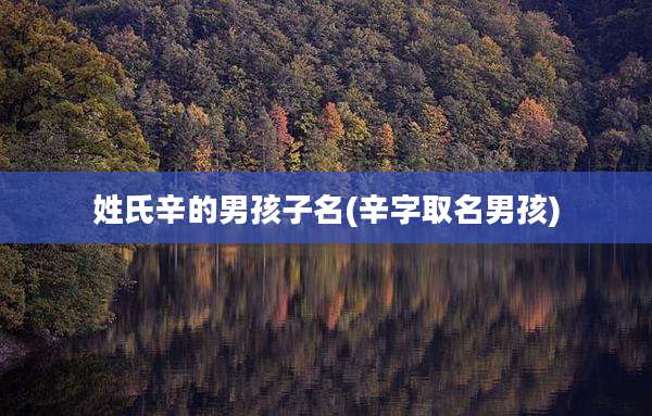 姓氏辛的男孩子名(辛字取名男孩)
