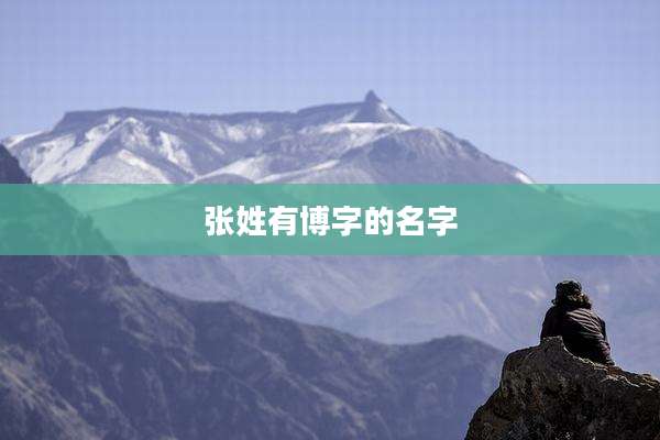 张姓有博字的名字
