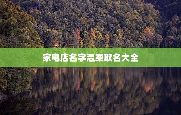 家电店名字温柔取名大全