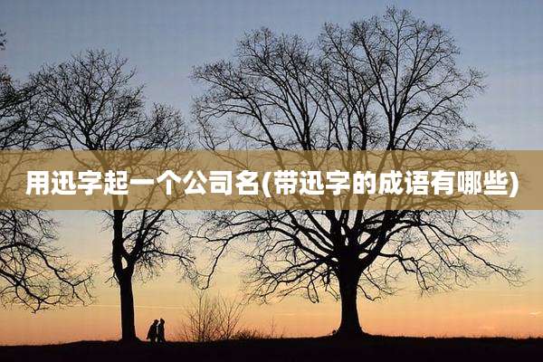 用迅字起一个公司名(带迅字的成语有哪些)