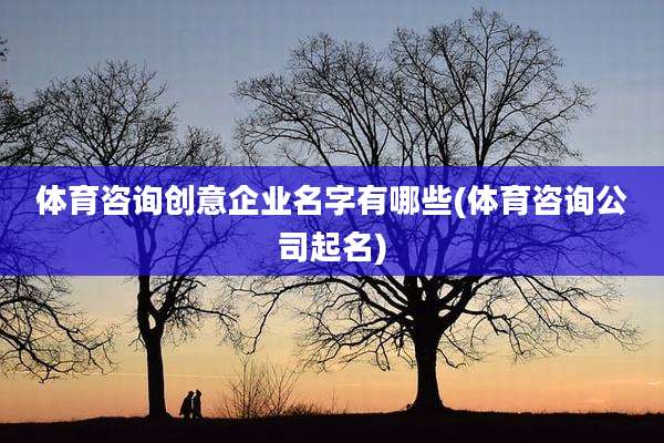 体育咨询创意企业名字有哪些(体育咨询公司起名)