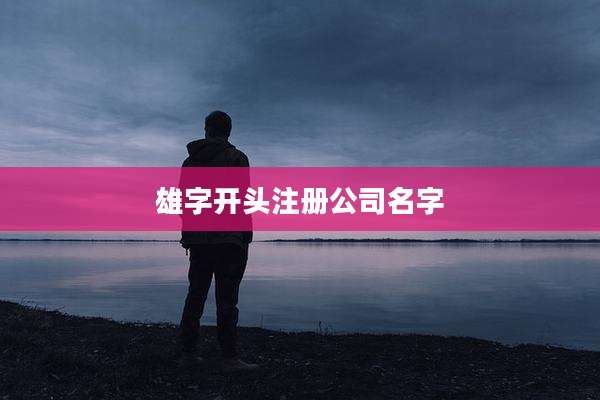 雄字开头注册公司名字