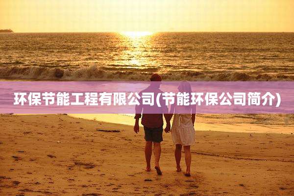环保节能工程有限公司(节能环保公司简介)