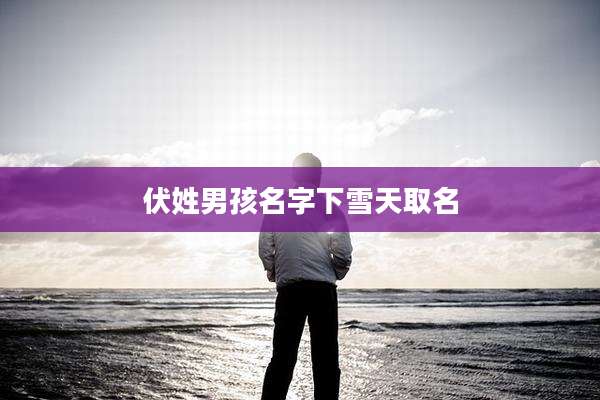 伏姓男孩名字下雪天取名