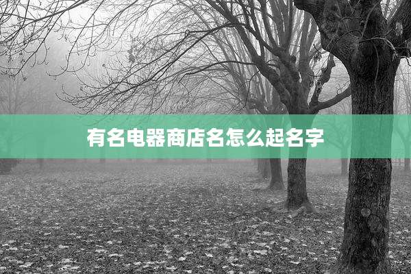 有名电器商店名怎么起名字