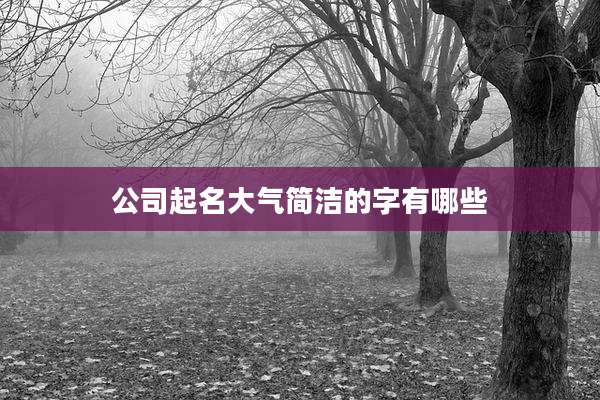 公司起名大气简洁的字有哪些