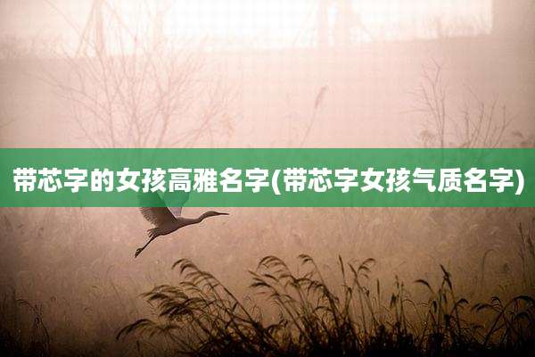带芯字的女孩高雅名字(带芯字女孩气质名字)