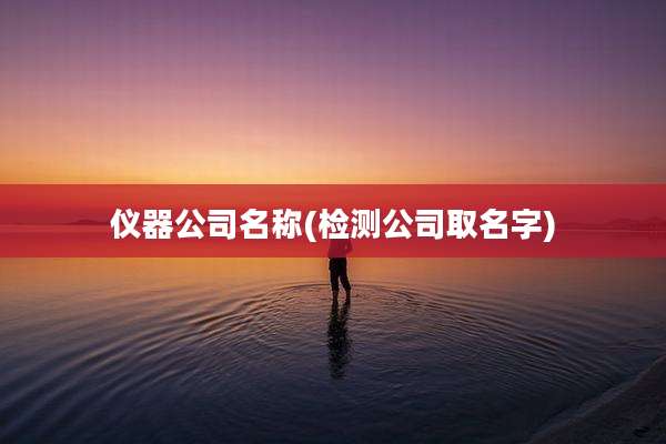 仪器公司名称(检测公司取名字)