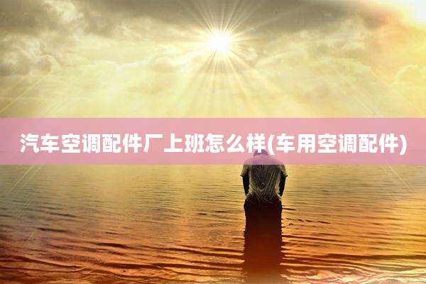 汽车空调配件厂上班怎么样(车用空调配件)