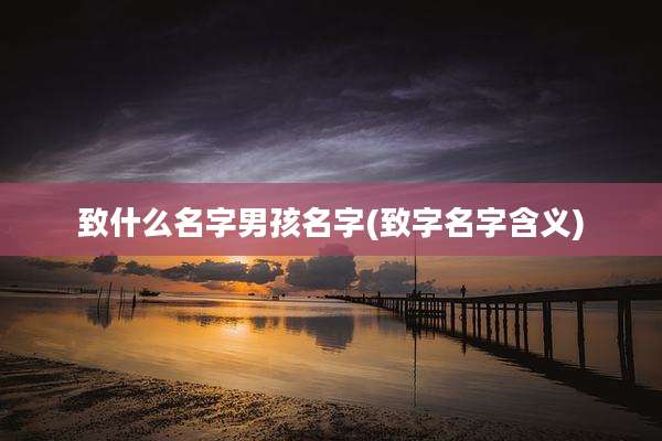 致什么名字男孩名字(致字名字含义)