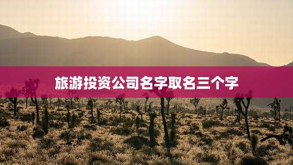 旅游投资公司名字取名三个字