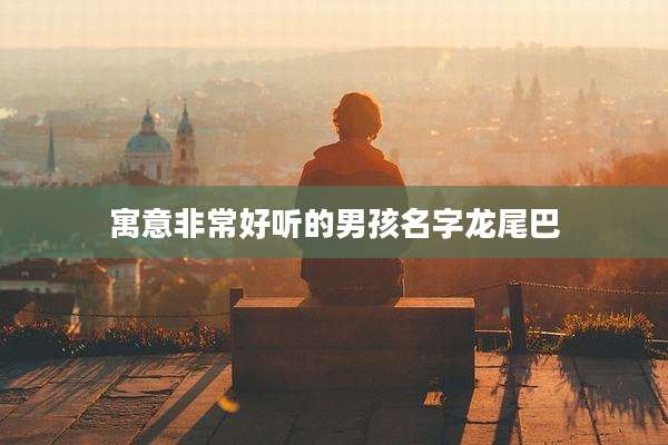 寓意非常好听的男孩名字龙尾巴