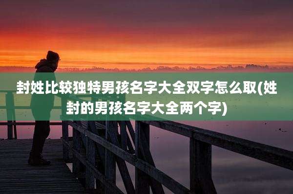 封姓比较独特男孩名字大全双字怎么取(姓封的男孩名字大全两个字)