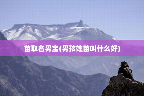苗取名男宝(男孩姓苗叫什么好)